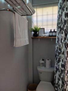 格罗斯岛Keikei’sHaven的浴室配有带浴帘的卫生间