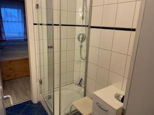科瑟罗Seeblick Wohnung 112 mit Ostseeblick的带淋浴、卫生间和盥洗盆的浴室