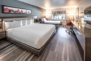 圣何塞圣何塞阿洛弗特库珀提诺酒店的酒店客房设有一张大床和一张书桌。