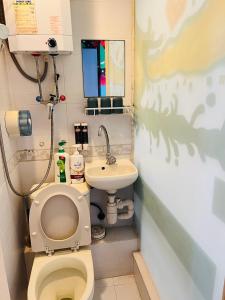 香港嘉應賓館HAKKAS GUEST House的一间带卫生间和水槽的小浴室