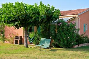 波吉奥· 梅扎纳比内亚马雷酒店的院子里有两把椅子和一棵树