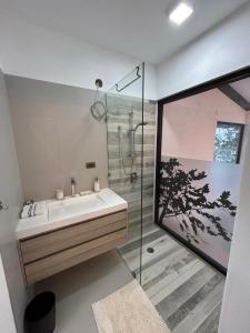 圣克鲁斯拉拉古纳Atitlan Sunset Lodge的一间带水槽和淋浴的浴室