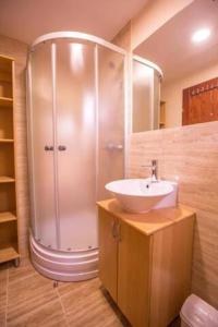 贝尔格莱德绿屋旅舍的带淋浴和盥洗盆的浴室