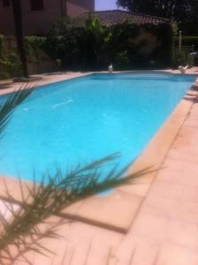 巴布通莱班 德拉派克斯酒店的前方的蓝色游泳池,棕榈树