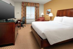 奥德萨奥德萨希尔顿花园酒店的配有一张床和一台平面电视的酒店客房