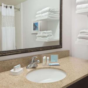 亚特兰大亚特兰大佩利梅特中心希尔顿恒庭酒店的浴室配有盥洗盆、镜子和毛巾