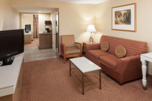 麦卡伦麦卡伦机场希尔顿花园酒店的带沙发和电视的客厅