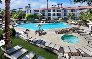 棕榈荒漠Embassy Suites by Hilton Palm Desert的度假村游泳池的图片