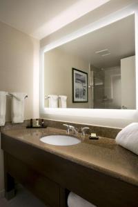 比奇伍德大使套房克利夫兰 - 比奇伍德酒店的一间带水槽和大镜子的浴室