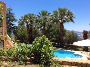 阿尔啼阿乐马尼亚别墅的棕榈树庭院内的游泳池