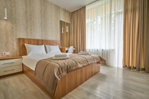 帕利亚尼西亚Готель У Борисовича & SPA的一间卧室设有一张大床和一个大窗户