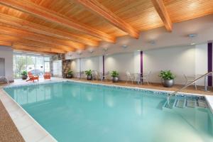 塔奇拉西雅图机场希尔顿欣庭套房酒店的蓝色的游泳池,位于酒店客房内
