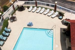 查塔努加Homewood Suites by Hilton Chattanooga - Hamilton Place的游泳池和躺椅的顶部景色