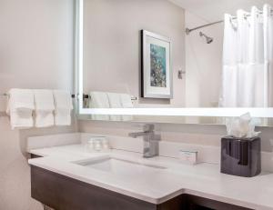 纽约纽约市金融中心/曼哈顿市区希尔顿花园酒店的一间带水槽和镜子的浴室