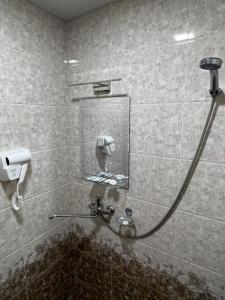 撒马尔罕Asia Minor的一间带镜子和淋浴的浴室