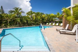 霍姆斯泰德Hilton Garden Inn Homestead, Fl的一个带躺椅的大型游泳池,棕榈树