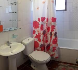 圣何塞德迈波Posada del Jinete的浴室设有卫生间、水槽和淋浴帘