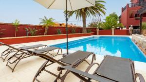 圣米格尔德阿沃纳Hotel Ecolife Tenerife的一个带椅子和遮阳伞的庭院和一个游泳池