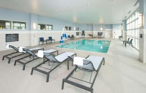 埃尔塞贡多拉克斯埃尔塞贡多汉普顿套房酒店的一个带躺椅的游泳池和一个游泳池