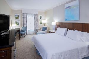 夏洛特Hampton Inn & Suites South Park at Phillips Place的酒店客房配有一张床、一张书桌和一台电视。