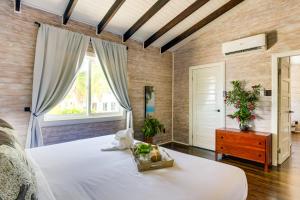 伯利兹城Shaka Caye All inclusive Resort的一间卧室设有一张大床和一个窗户。