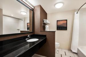 赫尔希巧克力大道费尔菲尔德万豪酒店的一间带水槽、卫生间和镜子的浴室