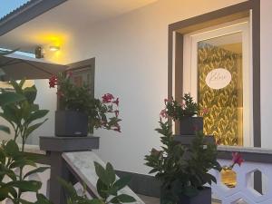 菲乌米奇诺Kalasó Design Guest House的门廊,门廊上挂着盆子植物,门上贴着标志