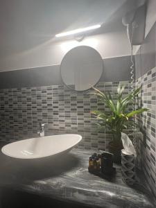 菲乌米奇诺Kalasó Design Guest House的浴室设有水槽、镜子和植物