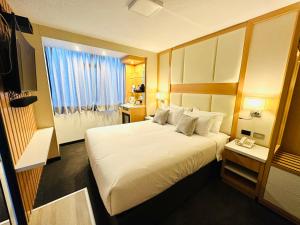 阿雷基帕OQ MIRADOR CLASSIC - AIRPORT的一间设有大床和窗户的酒店客房