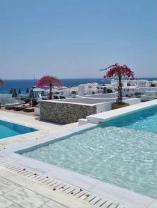 普拉迪斯亚罗斯The George Hotel Mykonos的一座背景海洋的游泳池