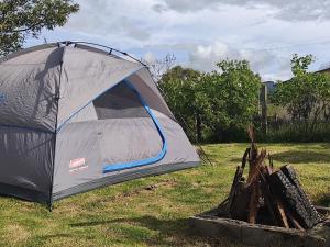 拉卡莱拉Iwoka Ecoturismo的草上一排木柴旁边的帐篷