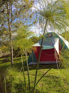 拉卡莱拉Iwoka Ecoturismo的坐在草地上的帐篷
