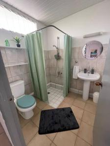 普纳奥亚Tuatahi Beach Lodge的一间带卫生间和水槽的浴室
