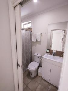 奥尔伯里奥尔伯里中心汽车旅馆的一间带卫生间、水槽和镜子的浴室