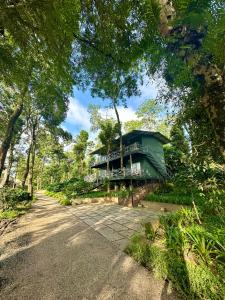 SrimangalaMachaan Wilderness Lodge Nagarahole的一条道路中间的绿色房子