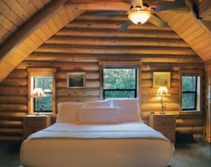 爱德怀Eagles Nest - Natural Log Cabin with Guest House的小木屋内一间卧室,配有一张床