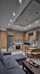 哈尔基斯Mimarxos Luxury Apartments的带沙发和桌子的客厅以及厨房。