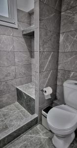 哈尔基斯Mimarxos Luxury Apartments的一间带卫生间和步入式淋浴间的浴室