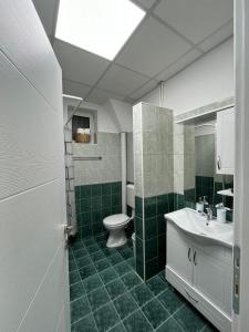 斯特鲁米察Green Apartment的绿色和白色的浴室设有卫生间和水槽