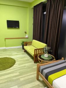 斯特鲁米察Green Apartment的带沙发和电视的客厅