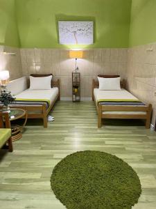 斯特鲁米察Green Apartment的一间设有两张床和绿色墙壁的客房