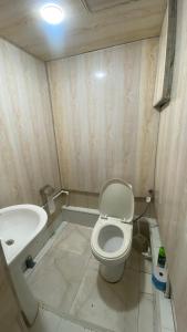 塞凡Sevan Hotel的一间带卫生间和水槽的小浴室