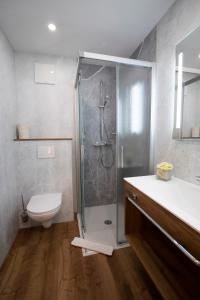 安纳贝格-伦格茨达赫斯坦西运动酒店的带淋浴、卫生间和盥洗盆的浴室