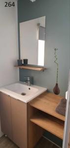 莱马特davorel mobil home的一间带水槽和镜子的浴室