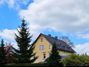 BurkhardtsdorfFerienwohnung Haus Sonnenblick的前面有一棵树的黄色房子