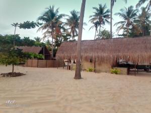 伊尼扬巴内Barra Dica - CAMPING的海滩上带草屋顶的小屋