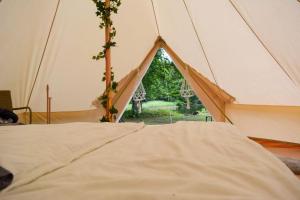 OdensjöGlamping Bolmen, Seaview, free canoe的帐篷内的一张床位,配有窗户