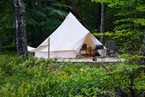 OdensjöGlamping Bolmen, Seaview, free canoe的白色帐篷,在树林里设有甲板