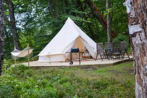 OdensjöGlamping Bolmen, Seaview, free canoe的帐篷配有野餐桌和吊床