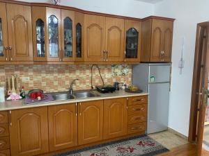 波格拉德茨Villa Rejan的厨房配有木制橱柜、水槽和冰箱。